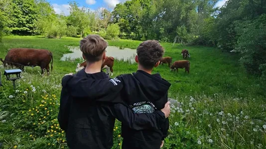 Andelsboliger til salg i Veksø Sjælland - billede 12