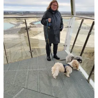 Have<br />Tilladt hunde<br />Offentlig transport, indkøbsmuligheder