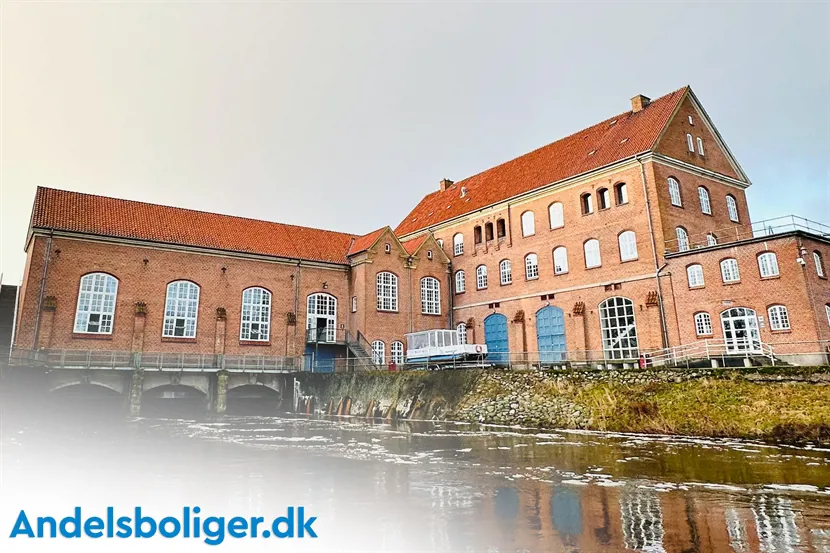 Viborg: Historisk, levende og skøn